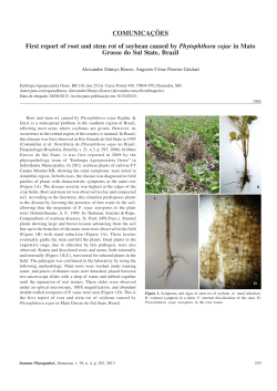 COMUNICA&Ccedil;&Otilde;ES First report of root and stem rot of