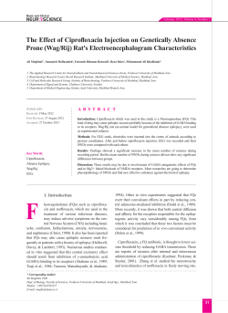 The Effect of Ciprofloxacin Injection on Genetically Absence Prone