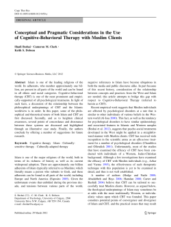 Conceptual and Pragmatic Considerations in the Use of Cognitive