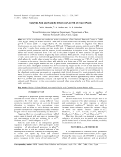 Salicylic Acid and Salinity Effects on Growth of Maize Plants