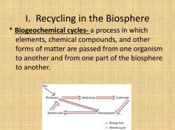 The Biosphere