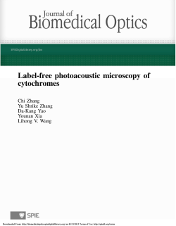 Label-free photoacoustic microscopy of cytochromes