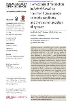Homeostasis of metabolites inEscherichia colion transition from