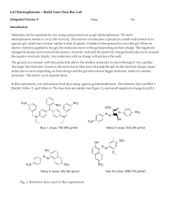 Gel Electrophoresis &ndash; Build Your Own Box