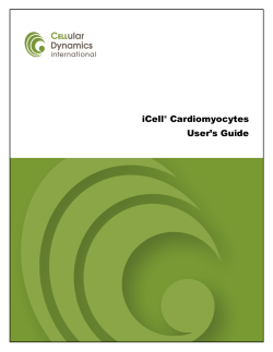 iCell Cardiomyocytes User`s Guide
