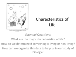 Characteristics of Life