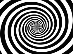Shuman Parts of the Eye2