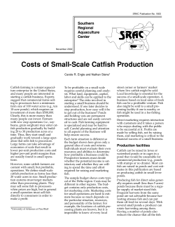 Costs of Small-Scale Catfish Production