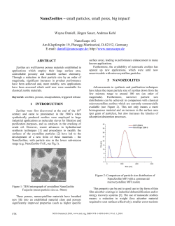 NanoZeolites &ndash; small particles, small pores, big impact!