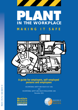 Plant in the workplace making it safe