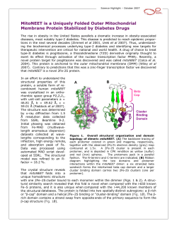 MitoNEET is a Uniquely Folded Outer Mitochondrial Membrane