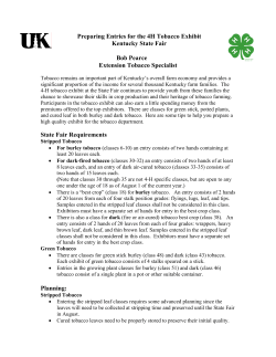 Preparing Entries for the 4H Tobacco Exhibit Kentucky State Fair