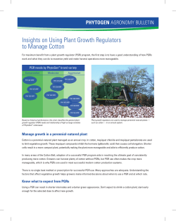 Insights on Using Plant Growth Regulators