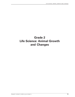 Grade 2 outcomes