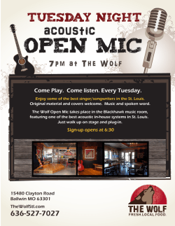 Open Mic - The Wolf