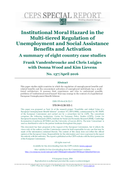 Institutional Moral Hazard in the Multi