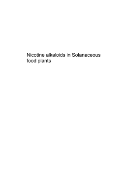 Nicotine in Solanaceous food plants