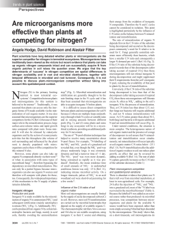 Are microorganisms more effective than plants at competing for