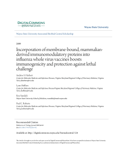Incorporation of membrane-bound, mammalian