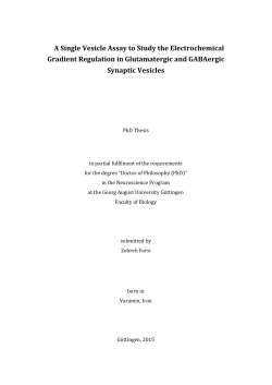 A Single Vesicle Assay to Study the Electrochemical Gradient