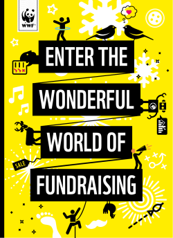 enter the wonderful fundraising world of