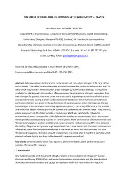 the effect of diesel fuel on common vetch plants