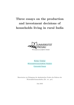 Three essays on the production and investment decisions