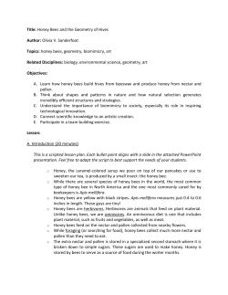 Honey Bees and the Geometry of Hives