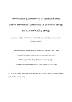 Photocurrent quantum yield of semiconducting carbon nanotubes