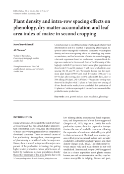 Plant density and intra-row spacing effects on phenology, dry matter