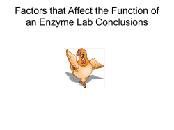 Factors that Affect the Function of an Enzyme Lab Conclusions