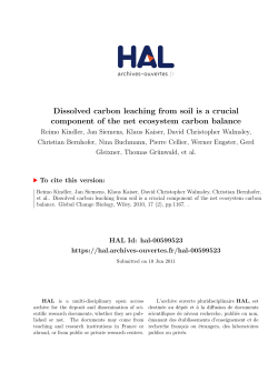 Dissolved carbon leaching from soil is a crucial component of