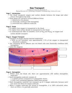 Gas Transport