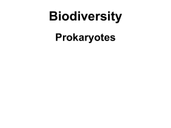 Biol 221 Exam I Powerpoint 5