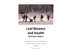 Leaf Blowers and Health