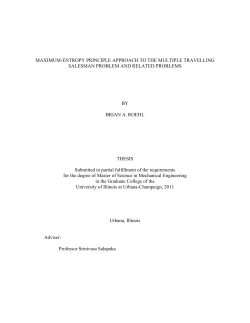 Maximum-Entropy Principle Approach To The Multiple Travelling
