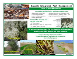 Organic Integrated Pest Management - ATTRA