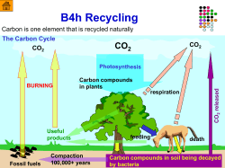 Carbon and nitrogen cycles