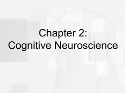 Chapter 1 : Cognitive Neuroscience