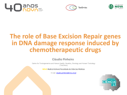 The role of Base Excision Repair genes in DNA damage response