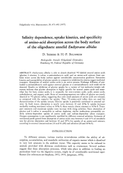 Salinity dependence, uptake kinetics, and specificity of amino