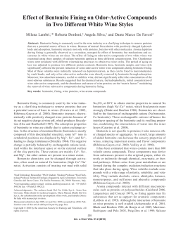 Effect of Bentonite Fining on Odor-Active Compounds in