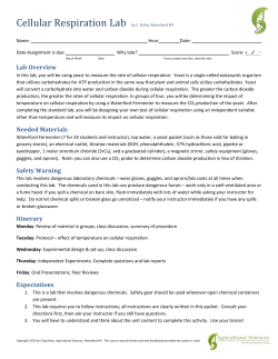 Respiration Experiment