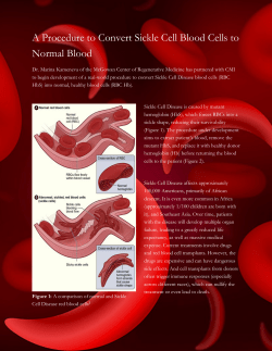 A Procedure to Convert Sickle Cell Blood Cells to Normal Blood