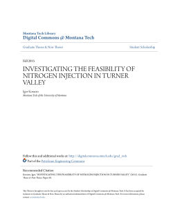investigating the feasibility of nitrogen injection in turner valley