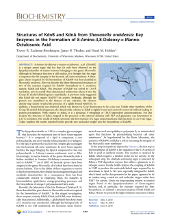 Structures of KdnB and KdnA from Shewanella oneidensis: Key