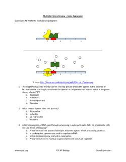 Gene Expression Multiple Choice | 303.6KB
