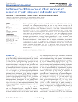 Spatial representations of place cells in darkness