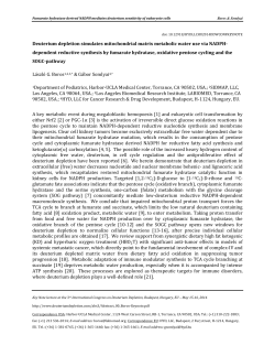 Despite the importance of glycolysis and the Warburg effect in