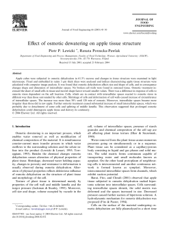 Effect of osmotic dewatering on apple tissue structure